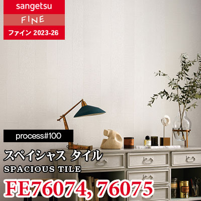 FE76074 FE76075 [process#100] スペイシャスタイル サンゲツ 壁紙 FINE ファイン 2023-26 m販売