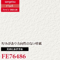 FE76498 [天井におすすめ] サンゲツ 壁紙 FINE ファイン 2023-26 m販売