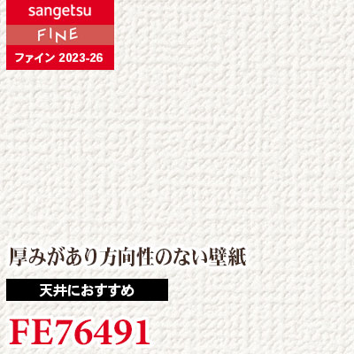 2Rmさま専用 FE76491 [天井におすすめ] サンゲツ 壁紙 FINE ファイン 2023-26 m販売