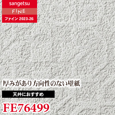 丁寧に描かれています。額縁も重厚感があって雰囲気があります。 FE76499 [天井におすすめ] 通気性 サンゲツ 壁紙 FINE ファイン 2023
