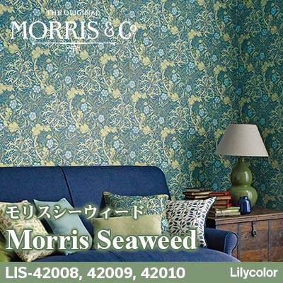 【ラヴィ】DeepForestGreen&FCAlice柄 ?media_id=3508328244069656760