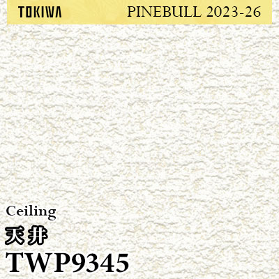 biwa様 NEWERA(ニューエラ) 59FIFTY Powered by GORO NAKATSUGAWA(min