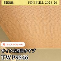 SGB2257 サンゲツ 壁紙 エクセレクト ※廃番(21-24)