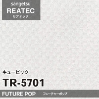 PS-3989MT 単色 (マット) 3M ダイノックフィルム [ソリッドカラー] m販売