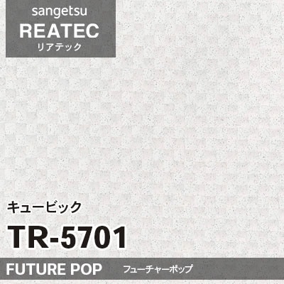 TR5701 キュービック (フューチャーポップ) サンゲツ リアテック vol.12 2024-26 m販売