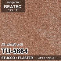 TX5686 鉄錆 (錆) サンゲツ リアテック vol.12 2024-26 m販売