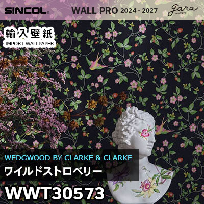 輸入壁紙 WWT30573 [ワイルドストロベリー] シンコール 壁紙 wallpro 2024-2025 ロール販売