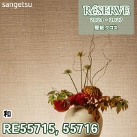 SP9713 ※旧 サンゲツ 壁紙 SP 2023-25