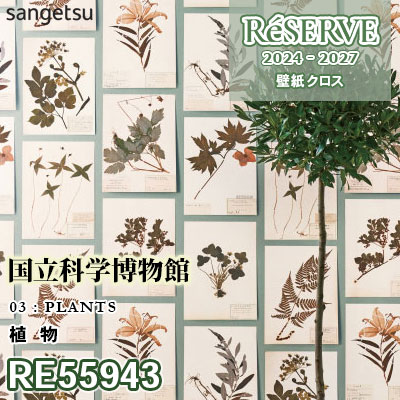 RE55943 サンゲツ 壁紙 リザーブ 2024-27