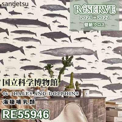 RE55946 [国立科学博物館] 海棲哺乳類 防かび サンゲツ 壁紙 リザーブ 2024-27 m販売
