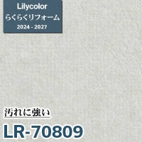 確認　連絡用 しんページ LR-70813 汚れに強い [らくらくリフォーム] リリカラ