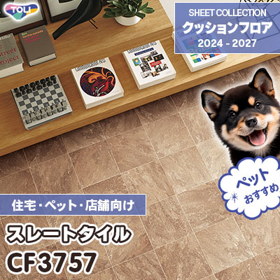CF3757 スレートタイル 石目柄 [ペット・土足対応・消臭・衝撃吸収] 東リ クッションフロア 2024-27 [住宅・施設用] m販売
