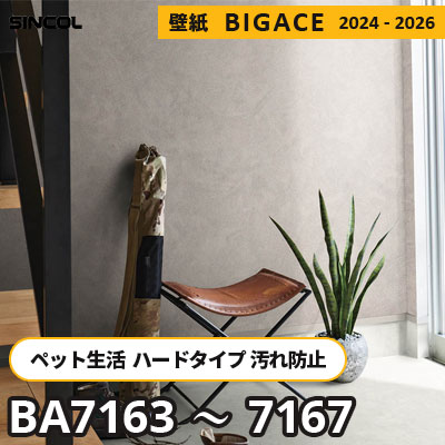 BA7163～7167 ペットにもおすすめ [ハードタイプ＋抗菌] 汚れ・キズに