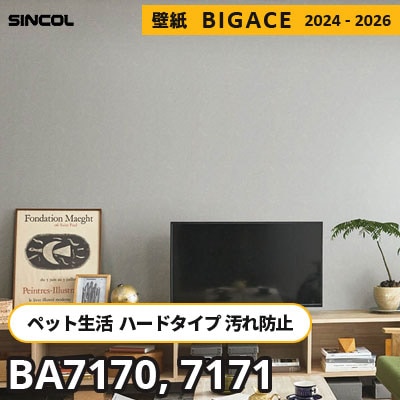BA7170 BA7171 ペットにもおすすめ [ハードタイプ＋抗菌] 汚れ・キズに強い シンコール 壁紙 ビッグエース 2024-2026 m販売