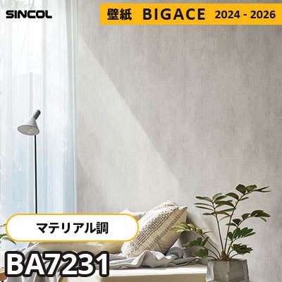 BA7231 [マテリアル] 塗り壁風 シンコール 壁紙 ビッグエース 2024-2026 m販売