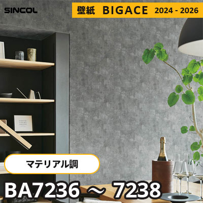 BA7236 BA7237 BA7238 [マテリアル] モルタル調 シンコール 壁紙 ビッグエース 2024-2026 m販売