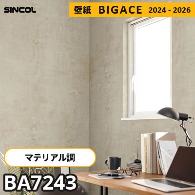 BA7243 [マテリアル] モルタル調 シンコール 壁紙 ビッグエース 2024-2026 m販売