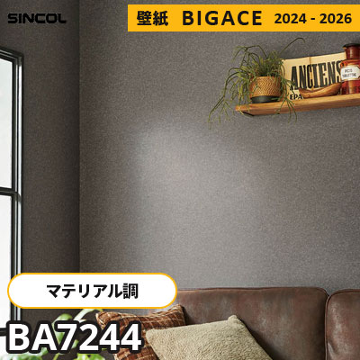 BA7244 [マテリアル] モルタル調 シンコール 壁紙 ビッグエース 2024-2026 m販売