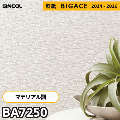 BA7250 [マテリアル] シンコール 壁紙 ビッグエース 2024-2026 m販売