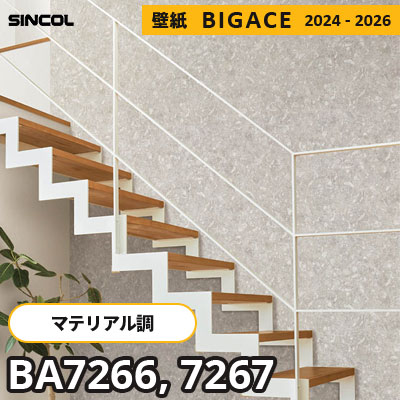 BA7266 BA7267 [マテリアル] 大理石風 シンコール 壁紙 ビッグエース 2024-2026 m販売