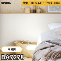 RE53629 ※旧品番 サンゲツ 壁紙 リザーブ1000 2022-24