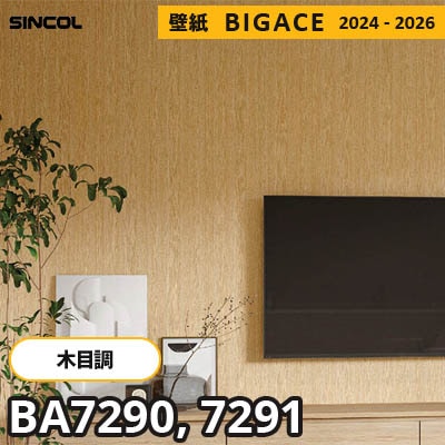 BA7290 BA7291 [木目柄] シンコール 壁紙 ビッグエース 2024-2026 m販売
