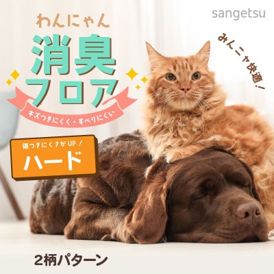 わんにゃん消臭フロア [ハードタイプ] HK12207～12210 衝撃吸収 消臭 抗菌 サンゲツ ペット向け発泡複層ビニル床シート 日本製 2024-2027 [m販売]