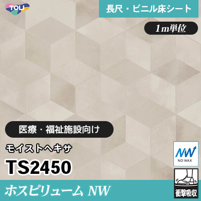 ホスピリュームNW 2㎜厚 医療福祉施設向け TS2450 [モイストヘキサ] 衝撃吸収・耐動荷重 東リ 発泡ビニル床シート m販売