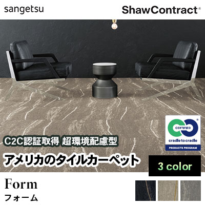 ショウ・コントラクト タイルカーペット [フォーム] 136-33111