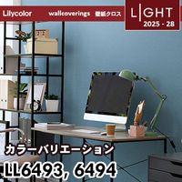 SGB2332～2334 サンゲツ 壁紙 エクセレクト 旧品番(21-24)