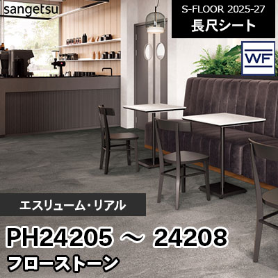 PH24205 PH24206 PH24207 PH24208 [エスリューム・リアル] フロー