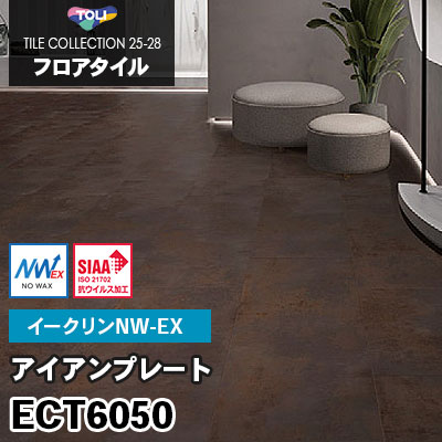 ECT6050 [アイアンプレート] ワックス不要/450×900mm イークリンNW-EX 東リ フロアタイル 2025-28 ケース販売