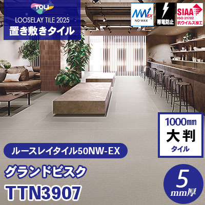 TTN3907 [グランドビスク] 1000×1000×5mm厚 ワックス不要 東リ 置き敷きタイル ルースレイ50NW-EX（Vol.2） ケース販売