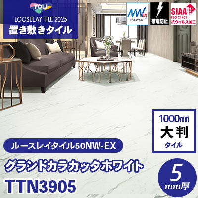 TTN3905 [グランドカラカッタホワイト] 1000×1000×5mm厚 ワックス不要 東リ 置き敷きタイル ルースレイ50NW-EX（Vol.2） ケース販売