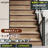 階段用ステップ [蹴込み一体タイプ] ストーンフロア PX48203～48234