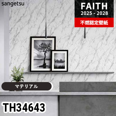TH34643 [マテリアル] サンゲツ 不燃認定壁紙 フェイス 2025-28年 (m販売)