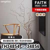 FE76667 [コンクリート・ストーン] サンゲツ 壁紙 FINE ファイン 2023