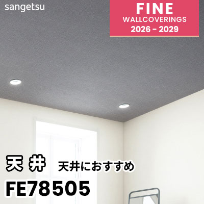 FE78505 天井におすすめ サンゲツ 壁紙 FINE ファイン 2026-2029 (m販売) 