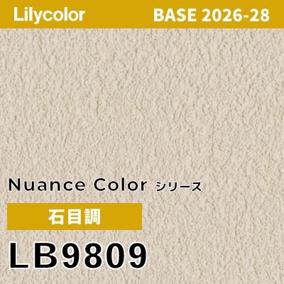 LB9809 石目調 軽量耐クラック 撥水 表面強度 抗菌 リリカラ 壁紙 BASE