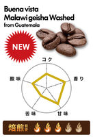 ブエナビスタ農園 マラウィゲイシャ ウォッシュト/グァテマラ(200g)