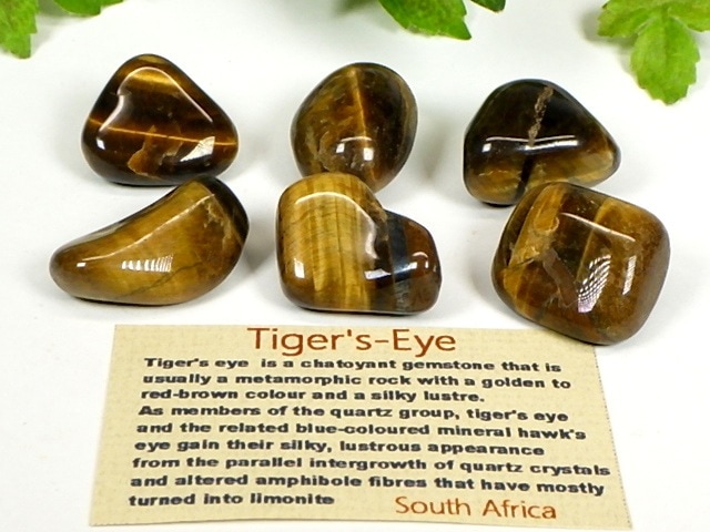 タイガーアイ タンブル6個セット