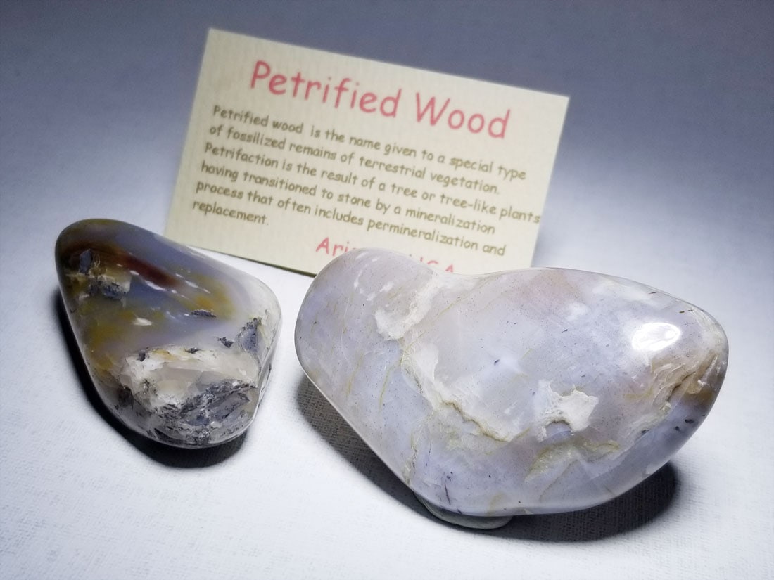 アリゾナ州産ペトリファイドウッド タンブル2個セット
