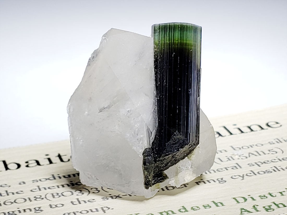 バイカラートルマリン/Bicolor Tourmaline (リチア電気石)