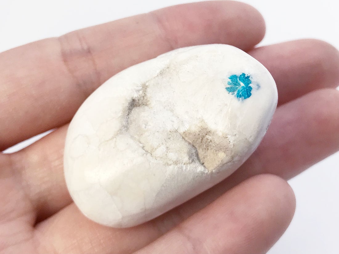 カバンサイト タンブル