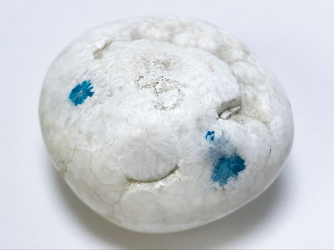 カバンサイト タンブル