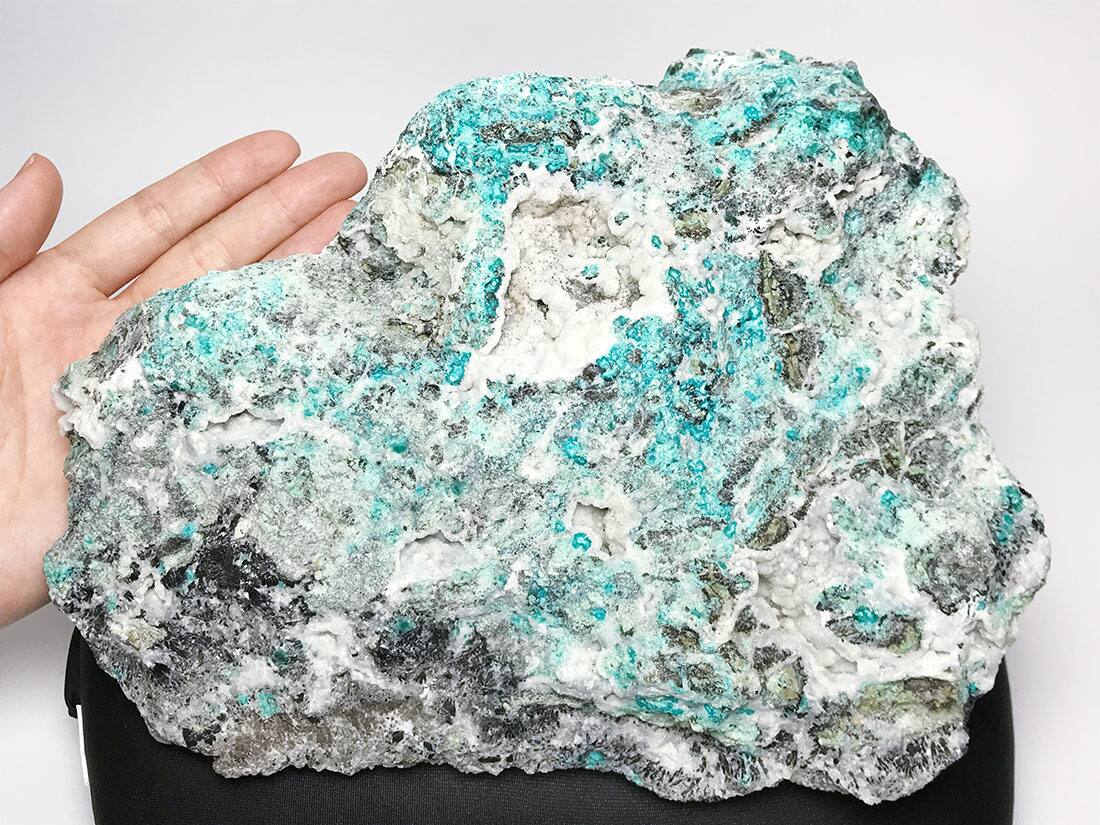 【大型】メキシコ産クリソコラ