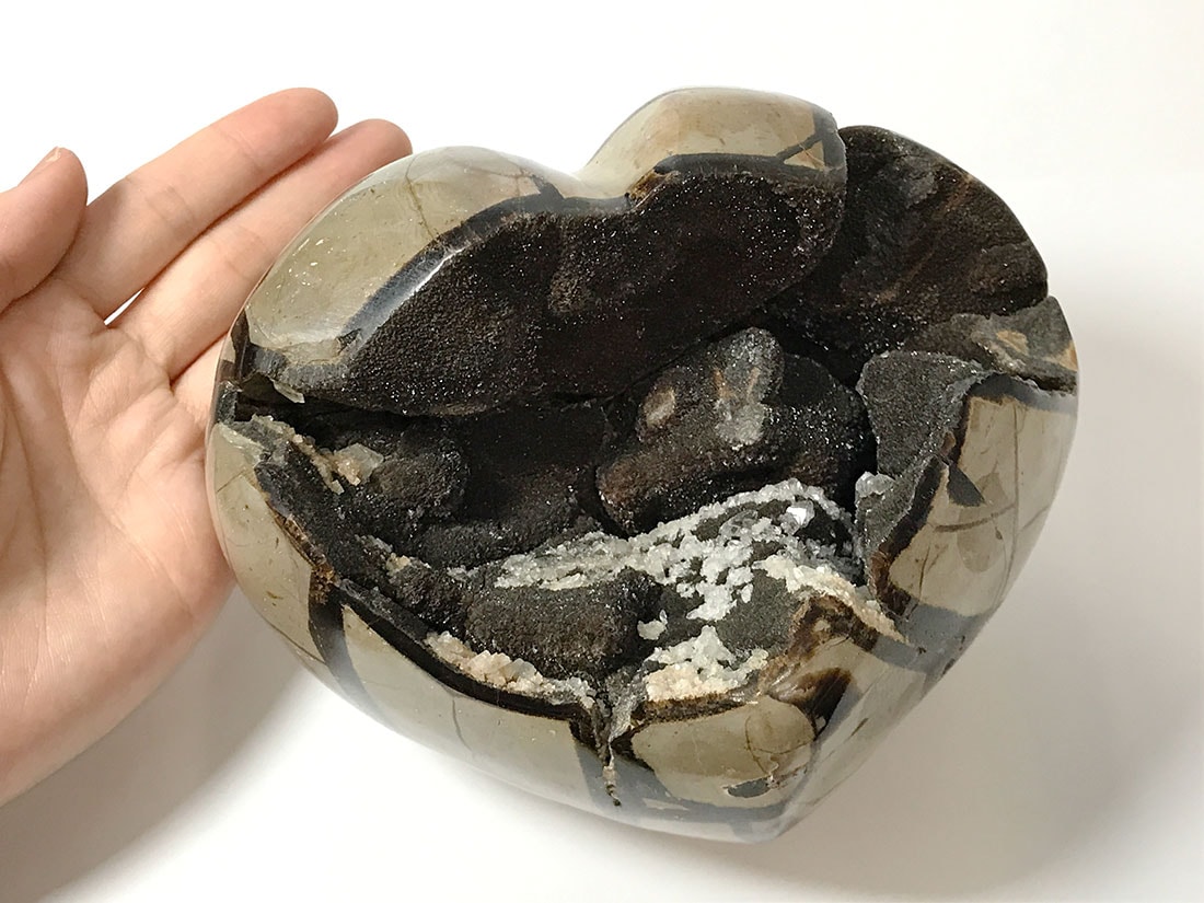 マダガスカル産　セプタリアン マダガスカル産セプタリアン ハート/Septarian