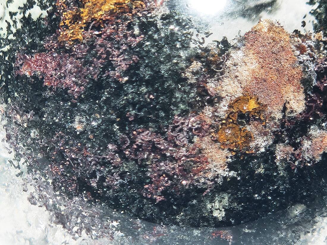 ガーデンクォーツ41mm丸玉/Garden Quartz