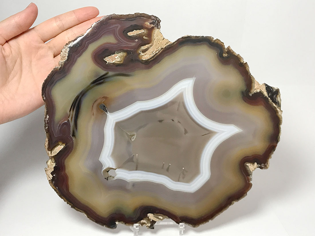 アゲートプレート Lサイズ