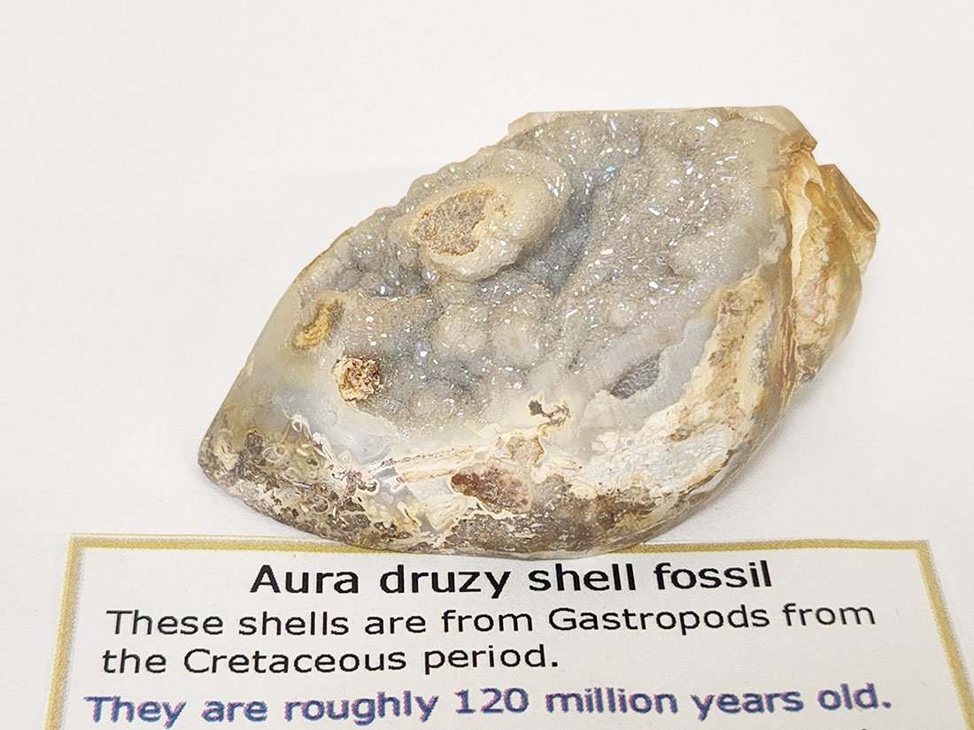 インド産 オーラクリスタルシェル/Aura druzy shell fossil